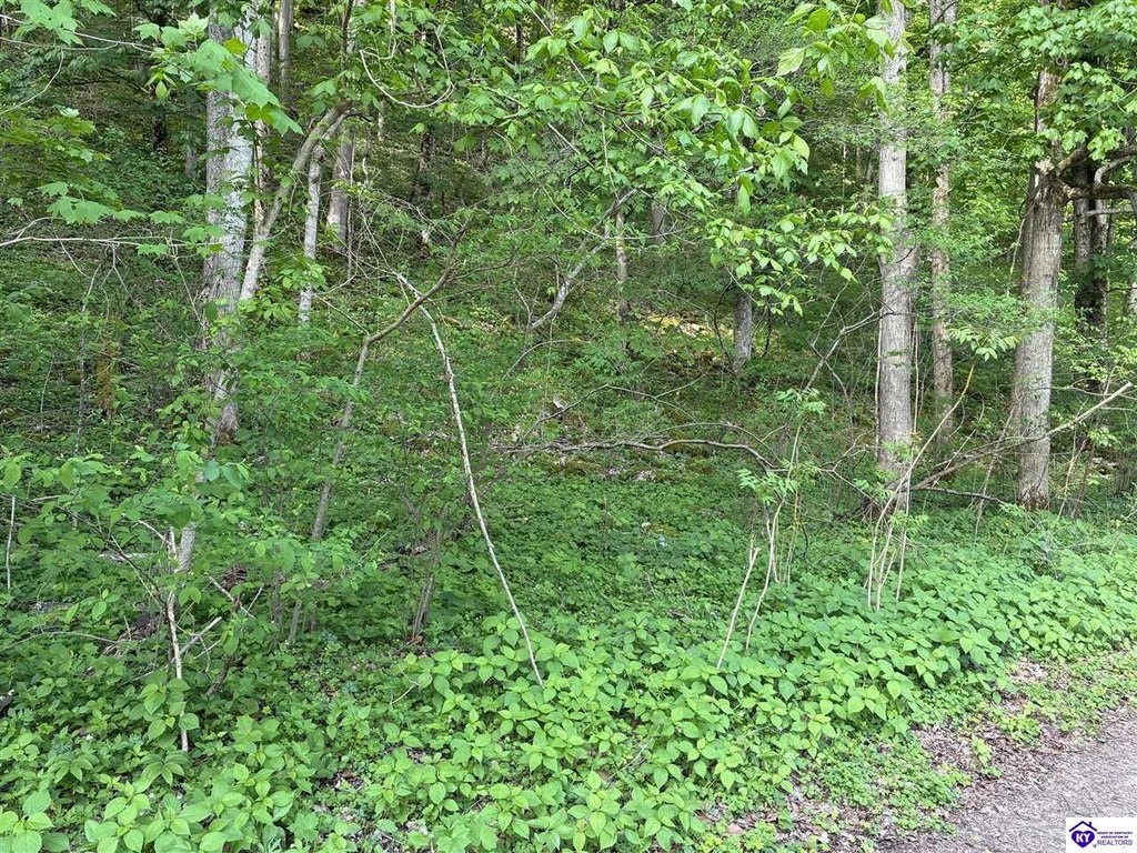 Picture 23