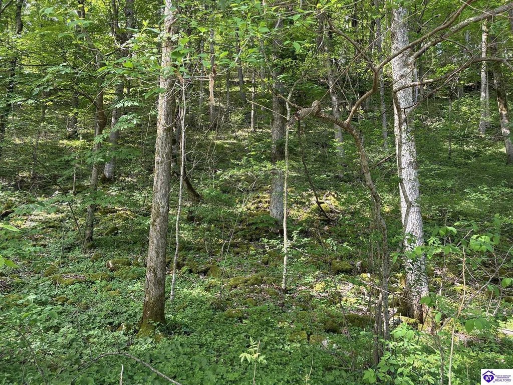 Picture 18