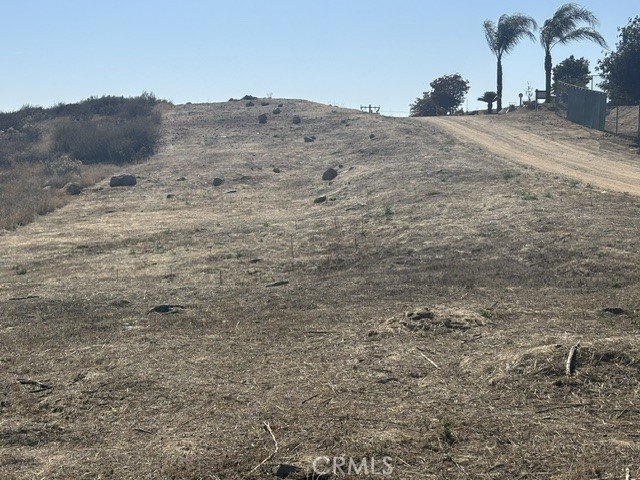 Picture 8