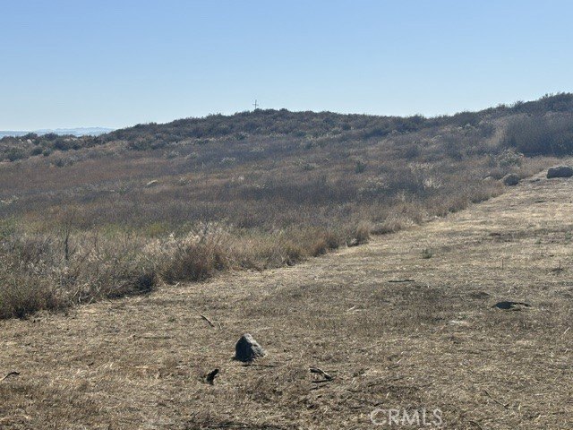 Picture 10