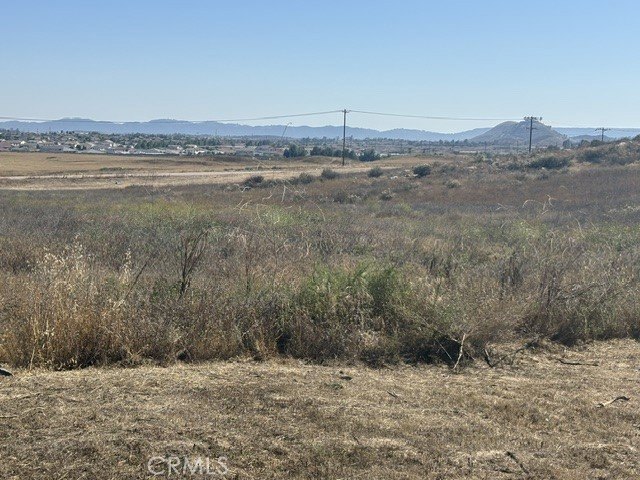 Picture 11
