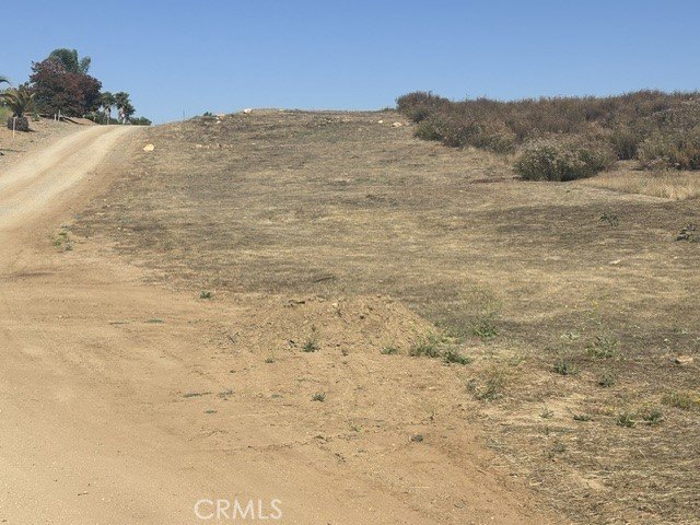 Picture 17