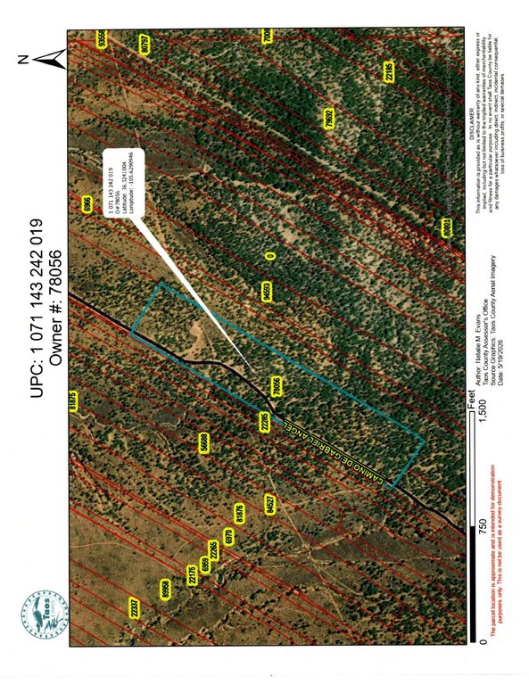 Picture 9