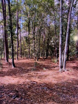 Land in Prime Hahira Location