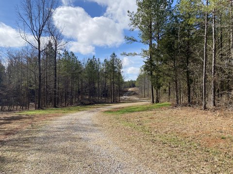 Acreage Tract with Paved Frontage