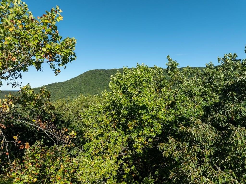 Ellijay GA Vacant Lot