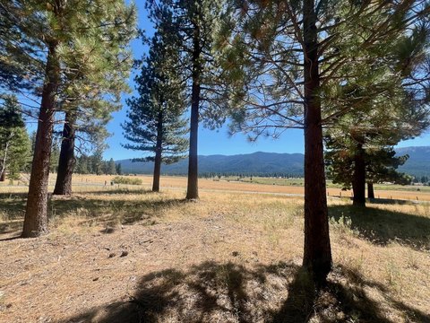 Clio, CA 2.5-Acre Lot