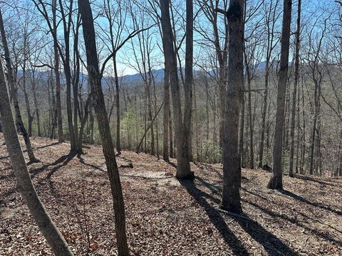 Mountain View Home Building Lot