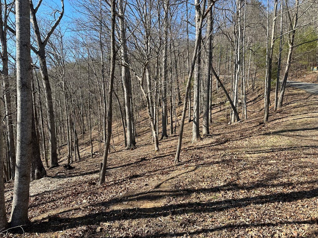 Picture 2