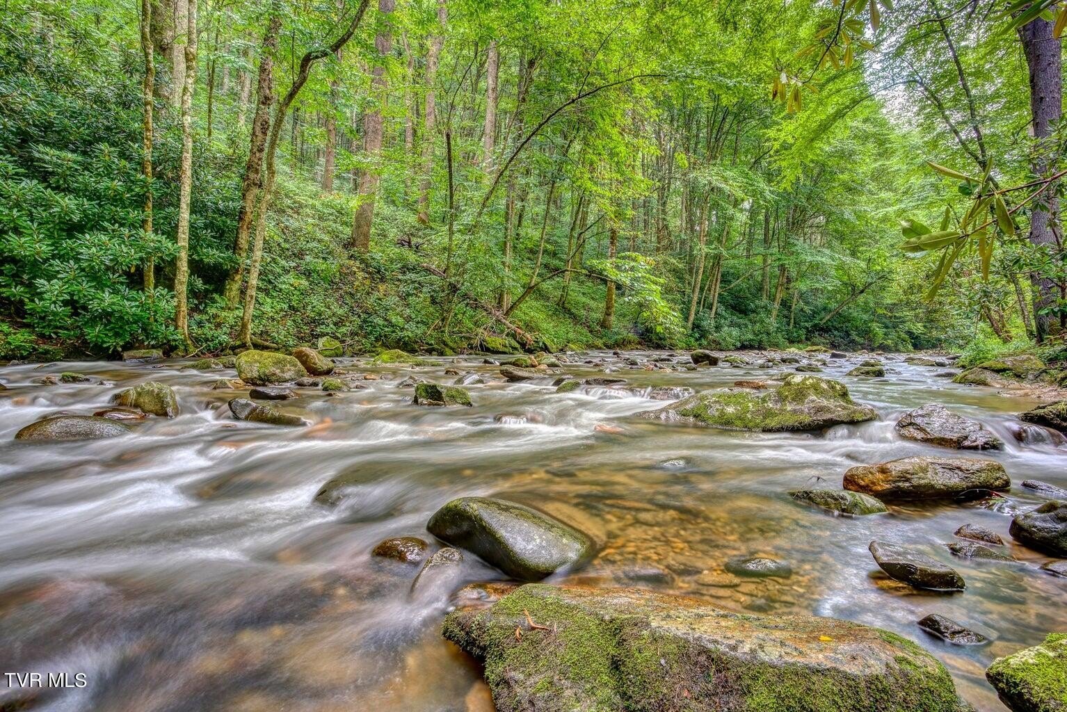 Roan Mountain Land with Creek View
