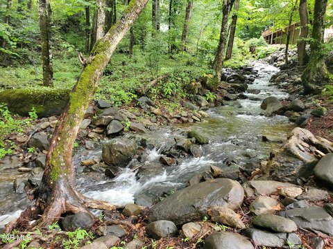Roan Mountain Land with Creek View