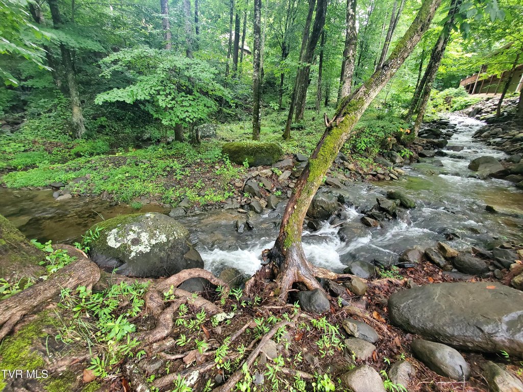Picture 45