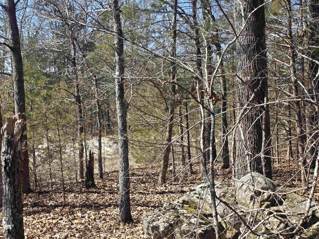 Picture 17