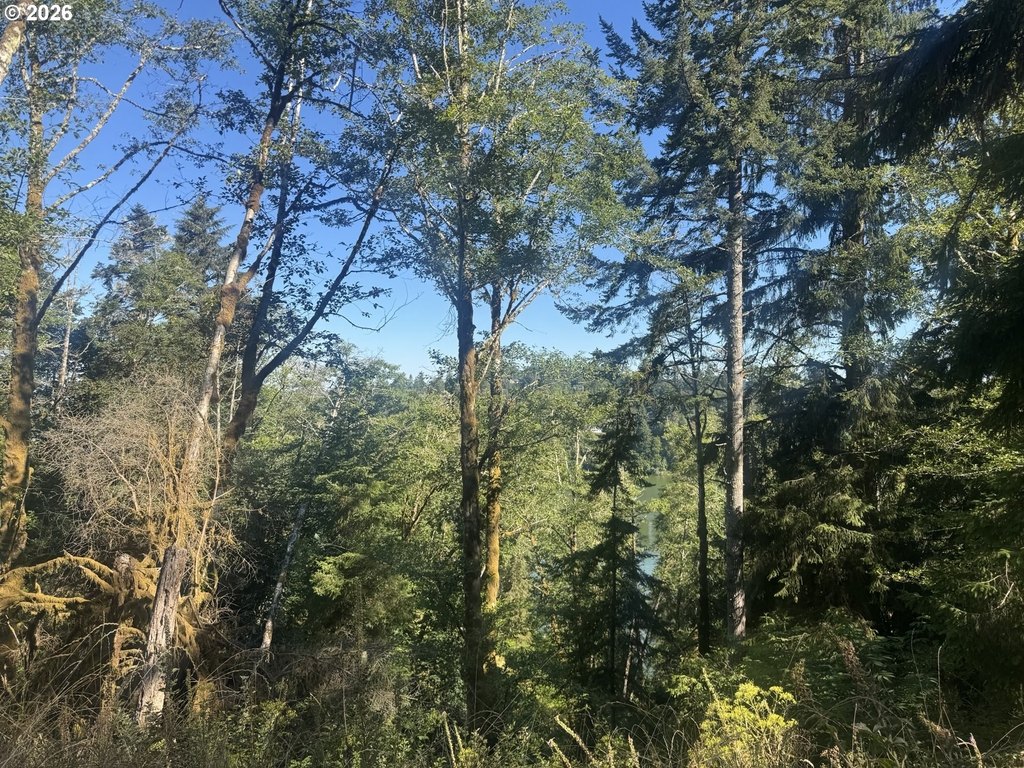 Picture 22