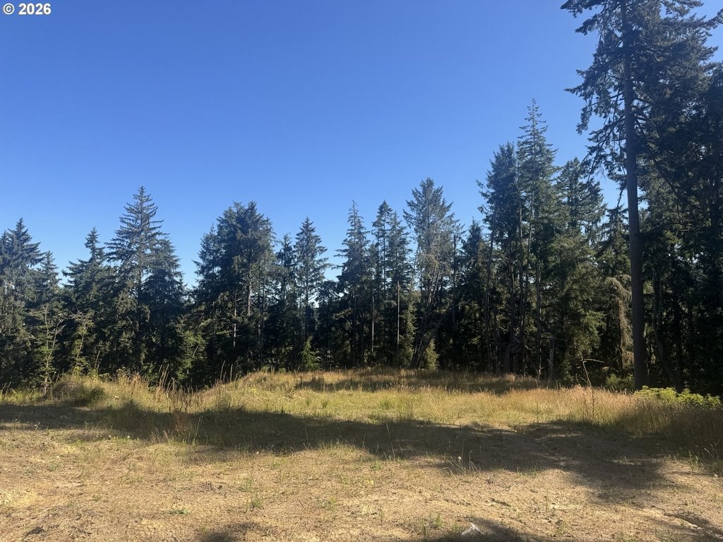 Picture 25