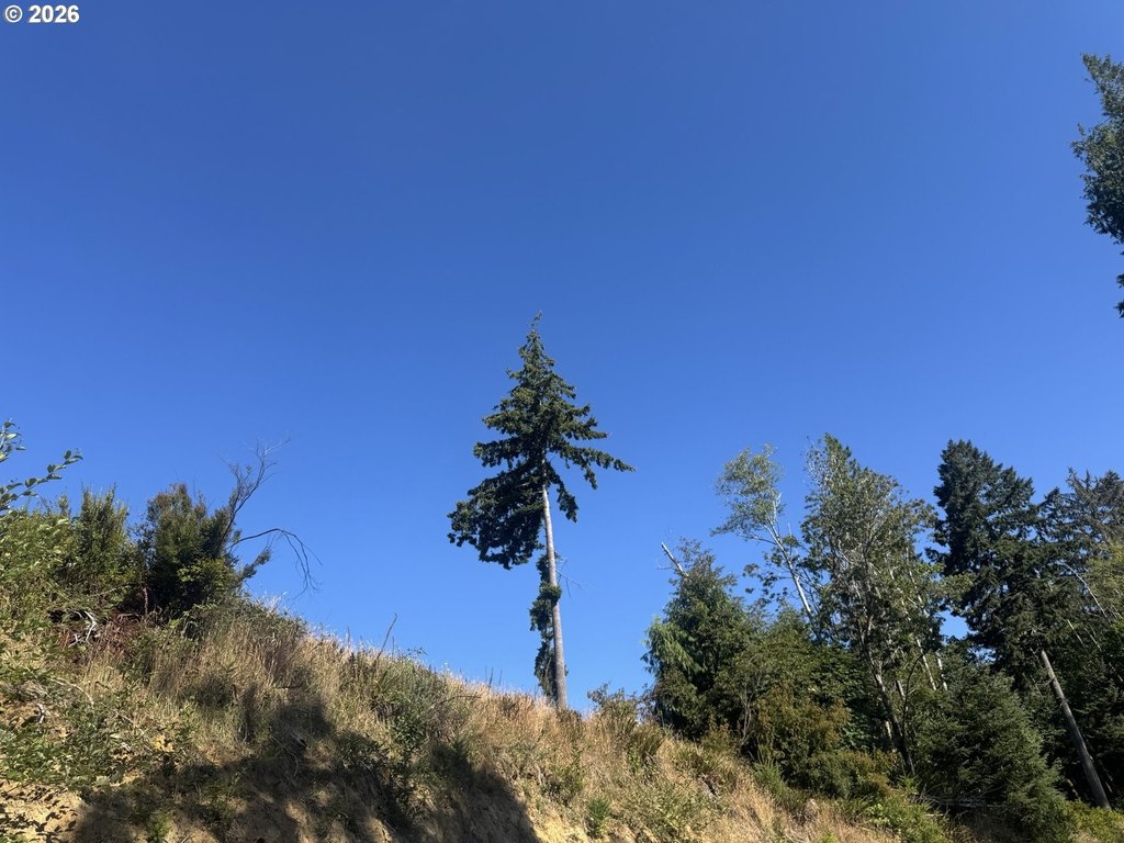 Picture 20