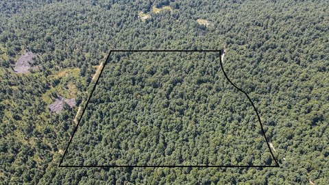 Recreational Hunting Land Tract