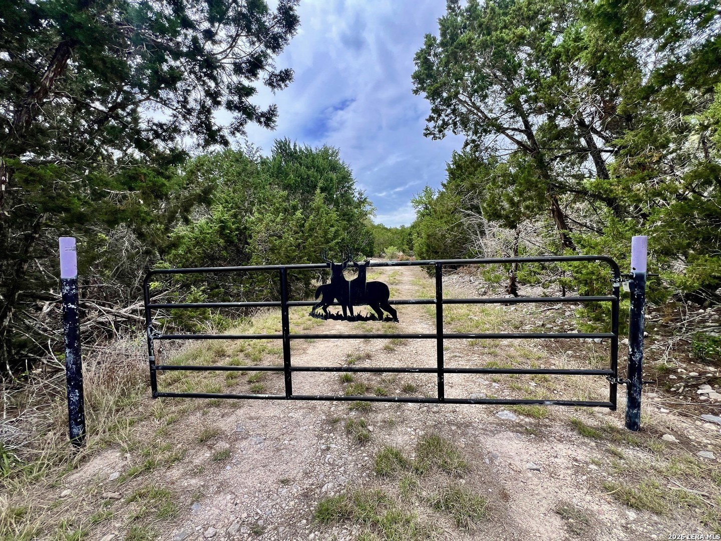 Secluded Hill Country Land Parcel