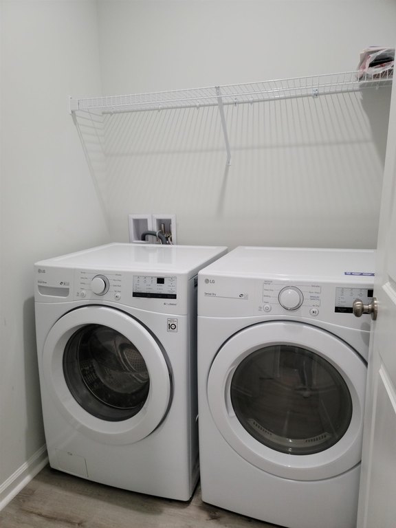 Picture 19