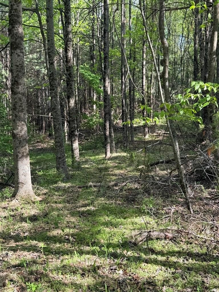 72 Acres Wooded Land Adjoins Parkway