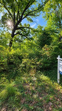 Land, Grand Junction, MI