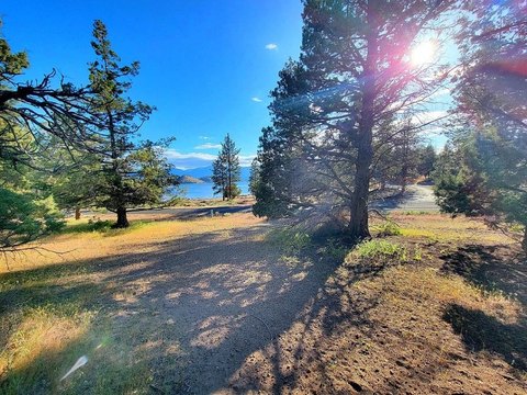 Sunset Views Lake Shastina Lot