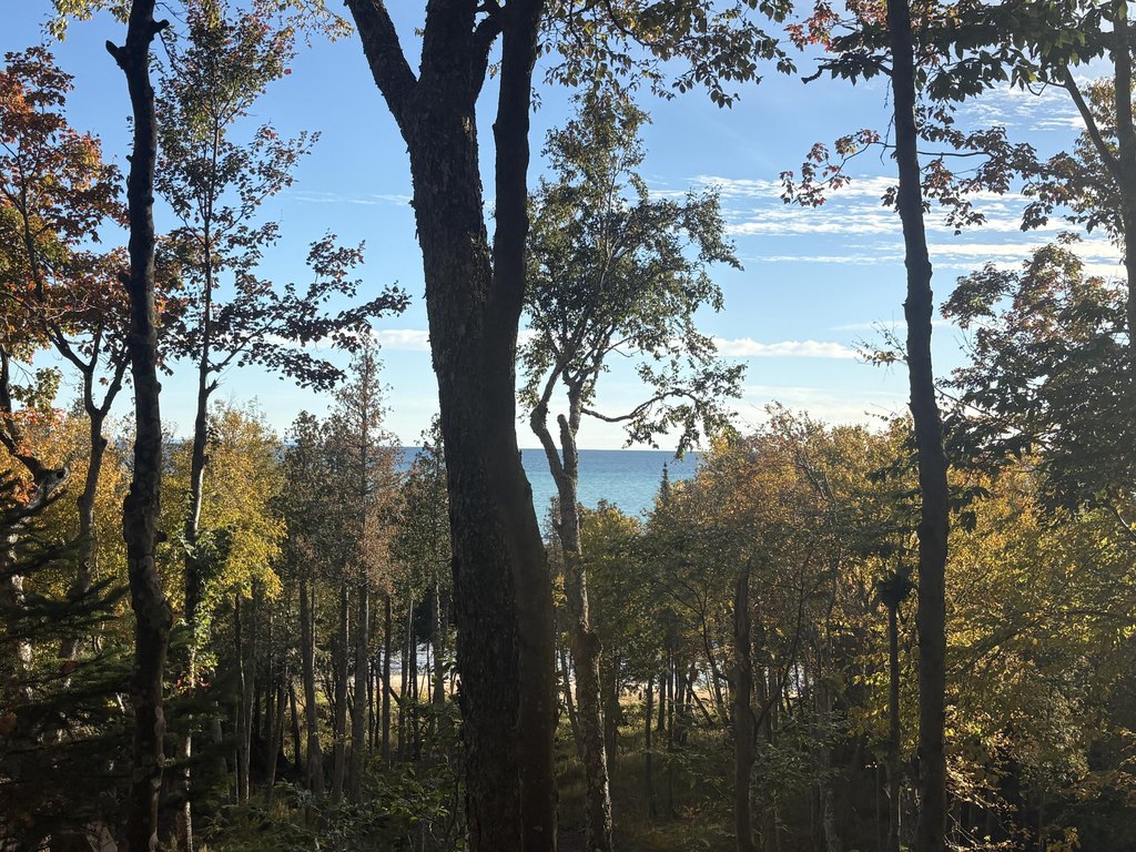 Picture 6