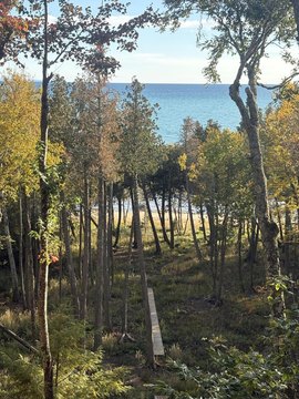 Land, Moran, MI