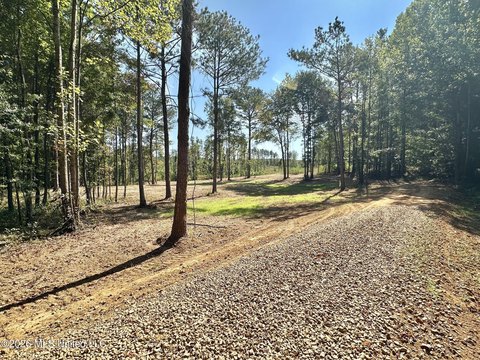 Rural Homesite with Recreational Land