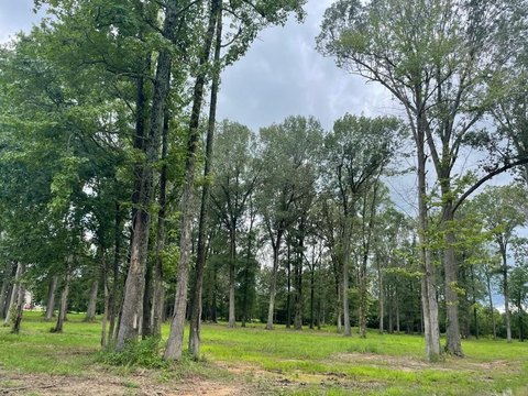 LAND - Paducah, KY