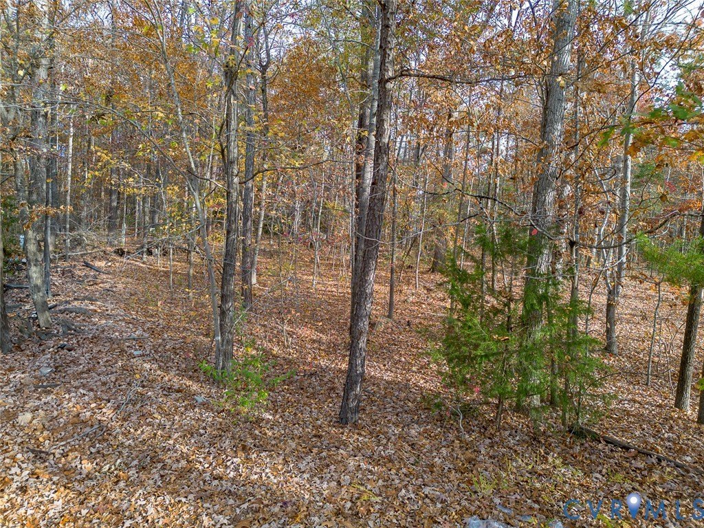 Goochland County Wooded Lot