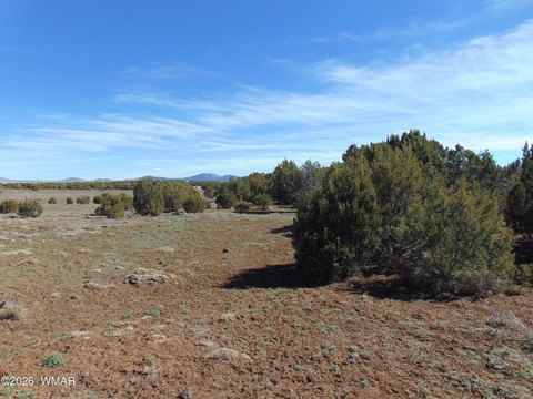 Land in Concho, Arizona
