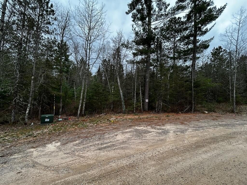 Picture 2