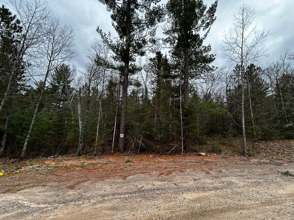 Picture 3