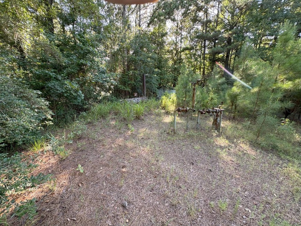 Picture 15