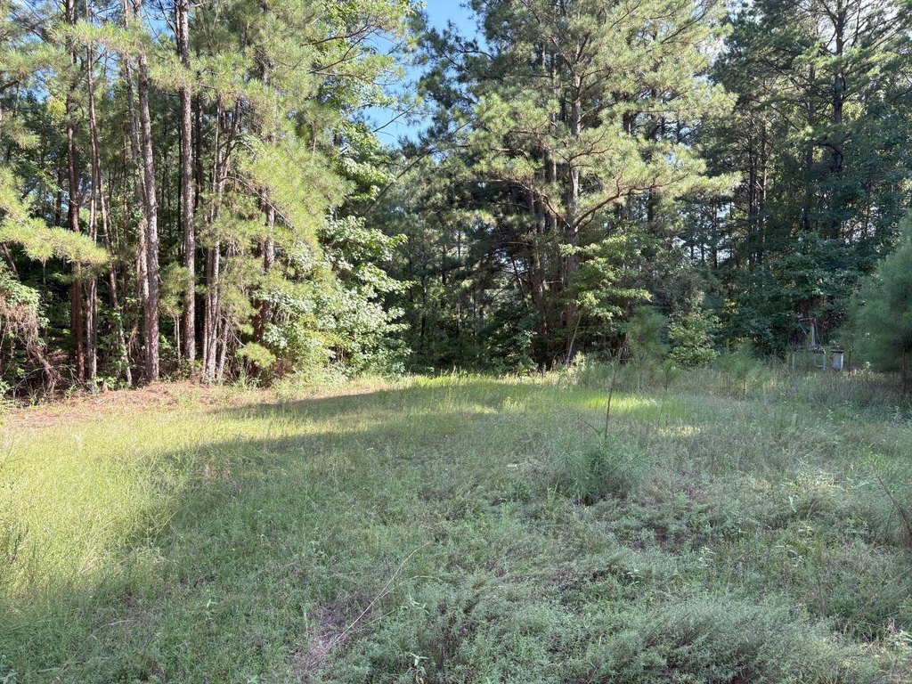 Picture 18