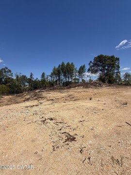 Land with Development Potential