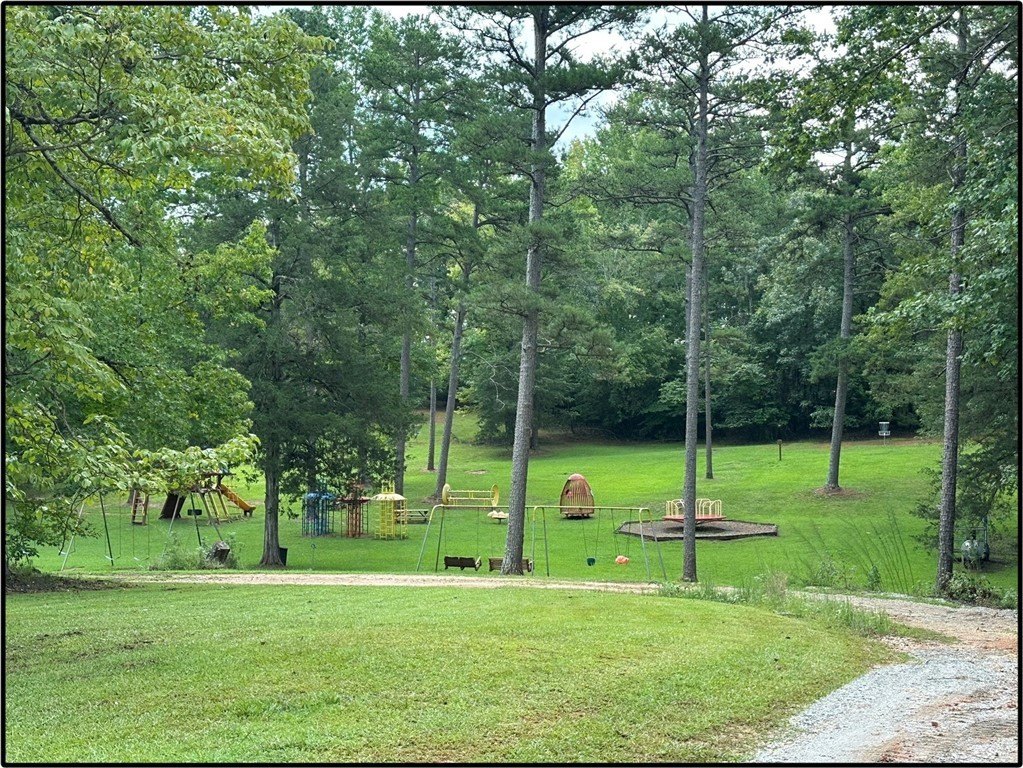 Picture 23