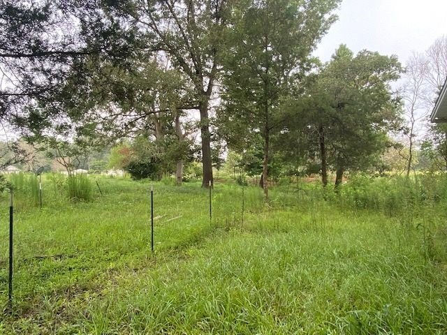 Picture 6