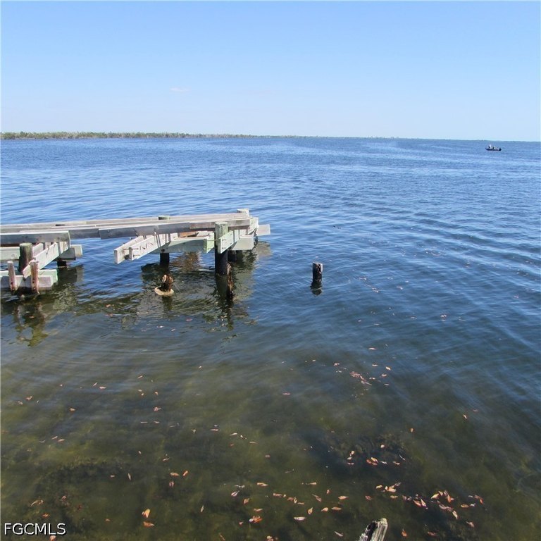 Picture 19