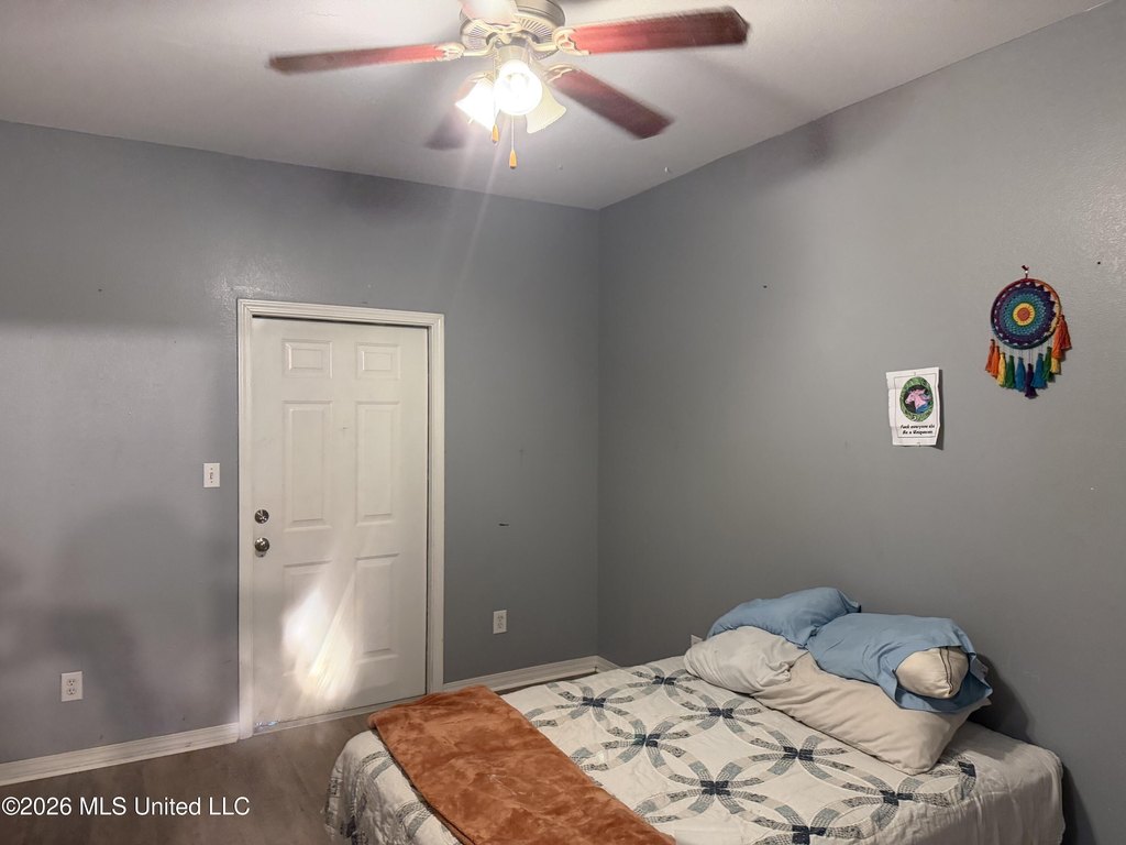 Picture 5