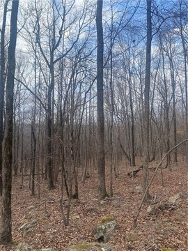 Picturesque Wooded Acres with Creek