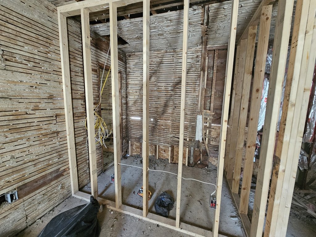 Picture 11