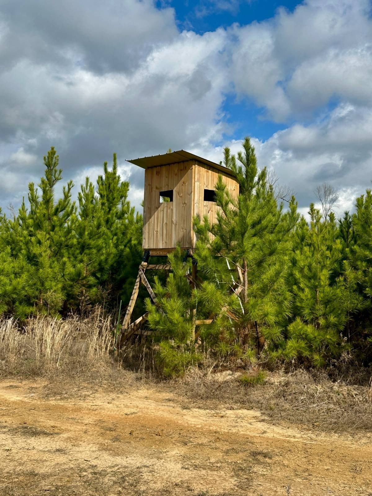 Hunter's Paradise Near Pachuta, MS