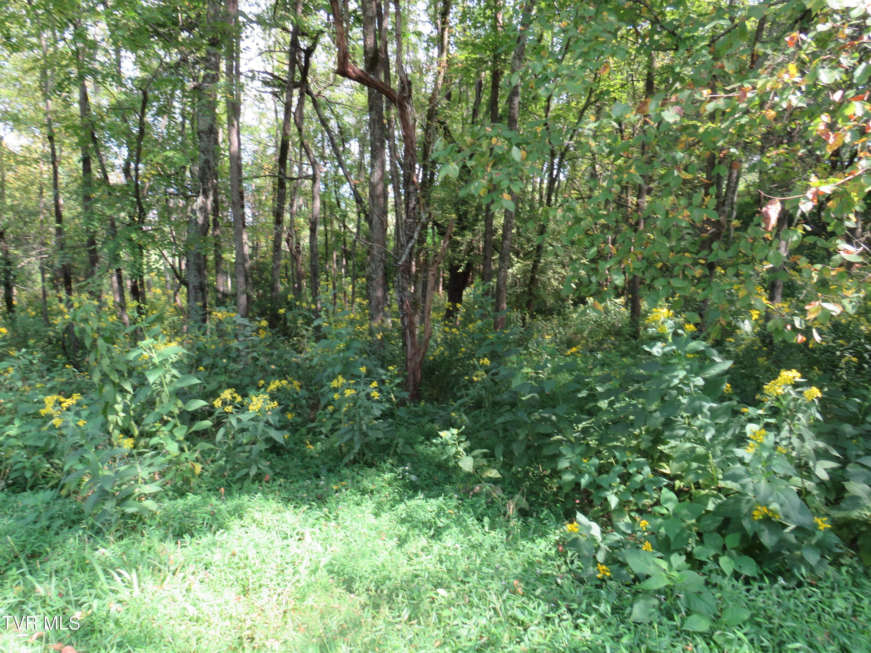 Residential Lots with Lake View