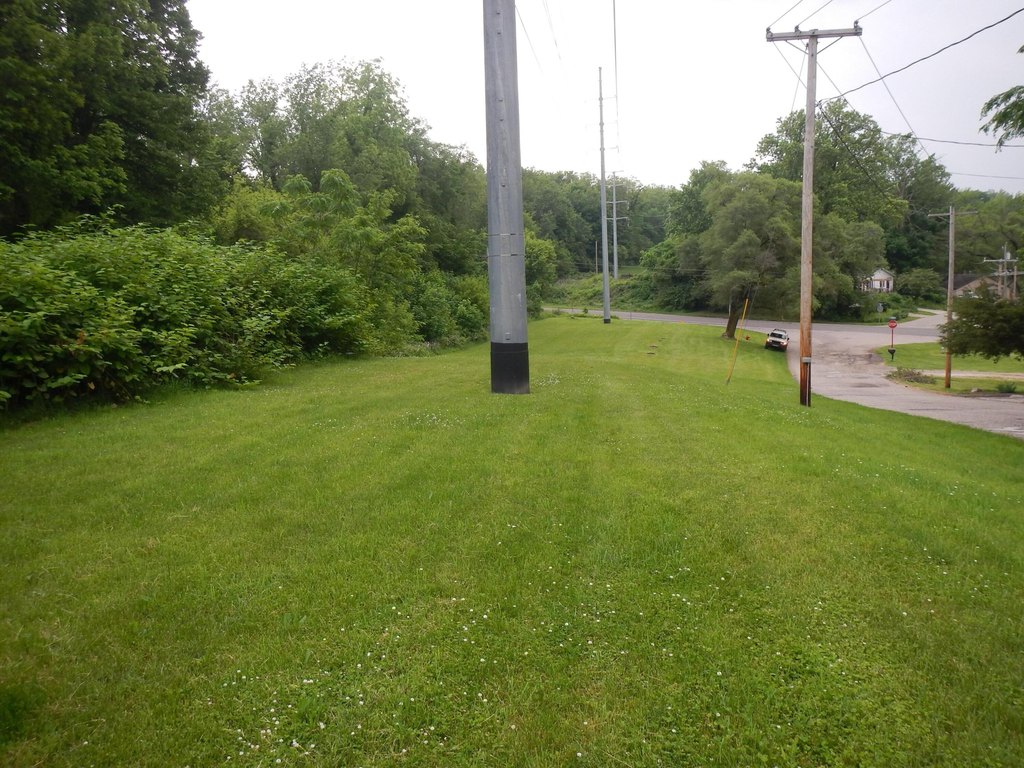 Picture 4