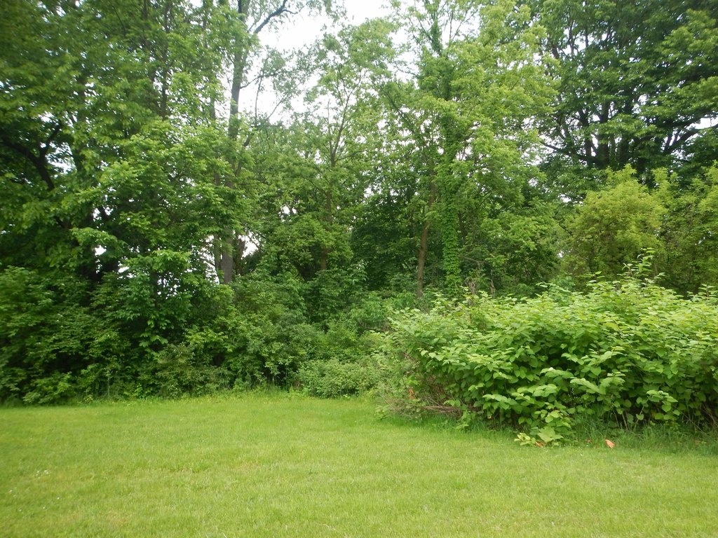 Picture 3
