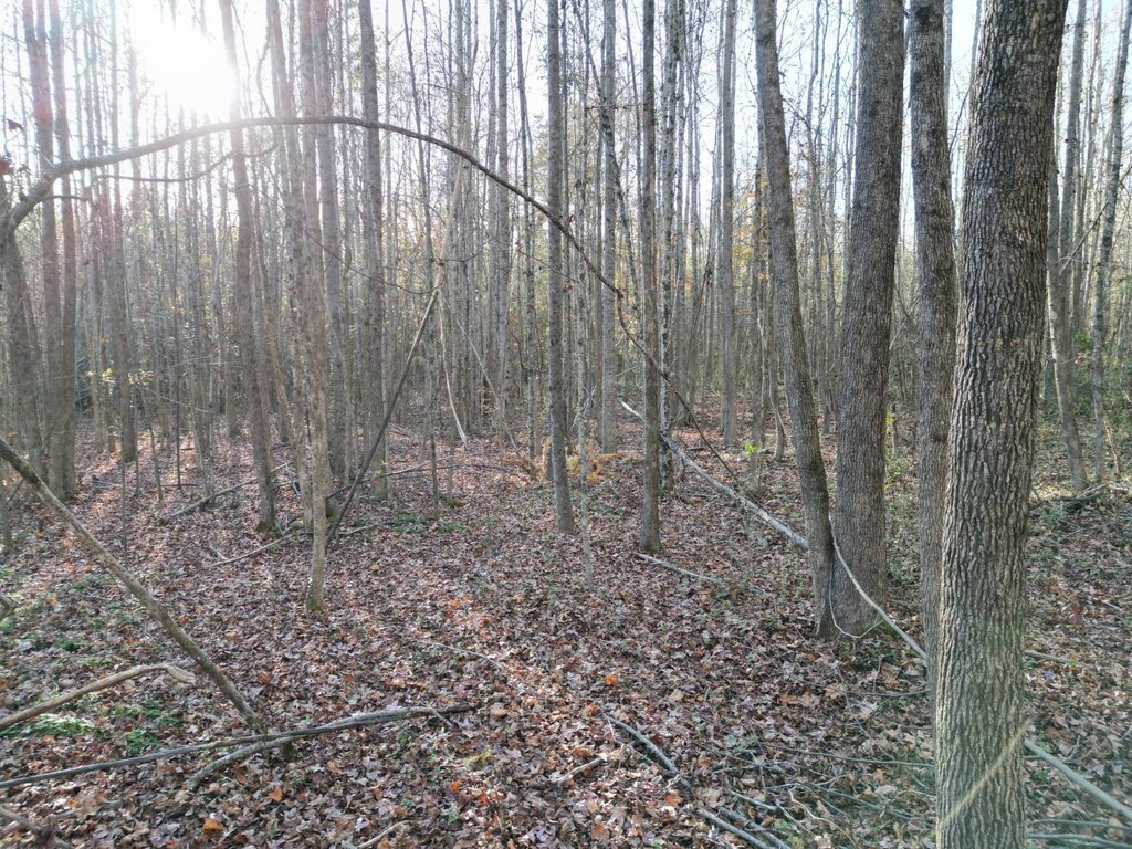 Picture 20