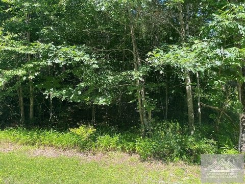 Acreage, CLEAR FORK, VA