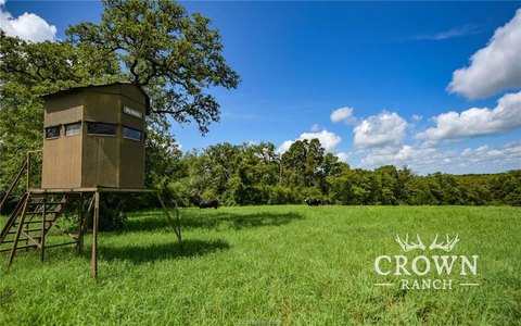 Versatile Ranch Land in Caldwell, TX